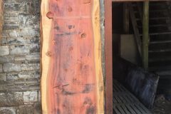 redwood-scaled