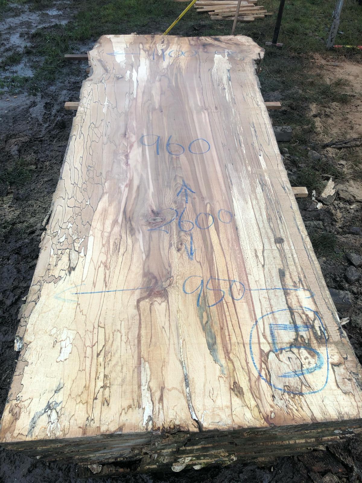 127 - spalted beech live edge slab
