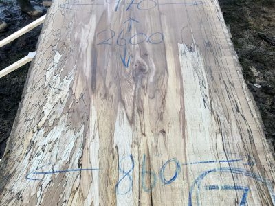 128 - spalted beech live edge slab