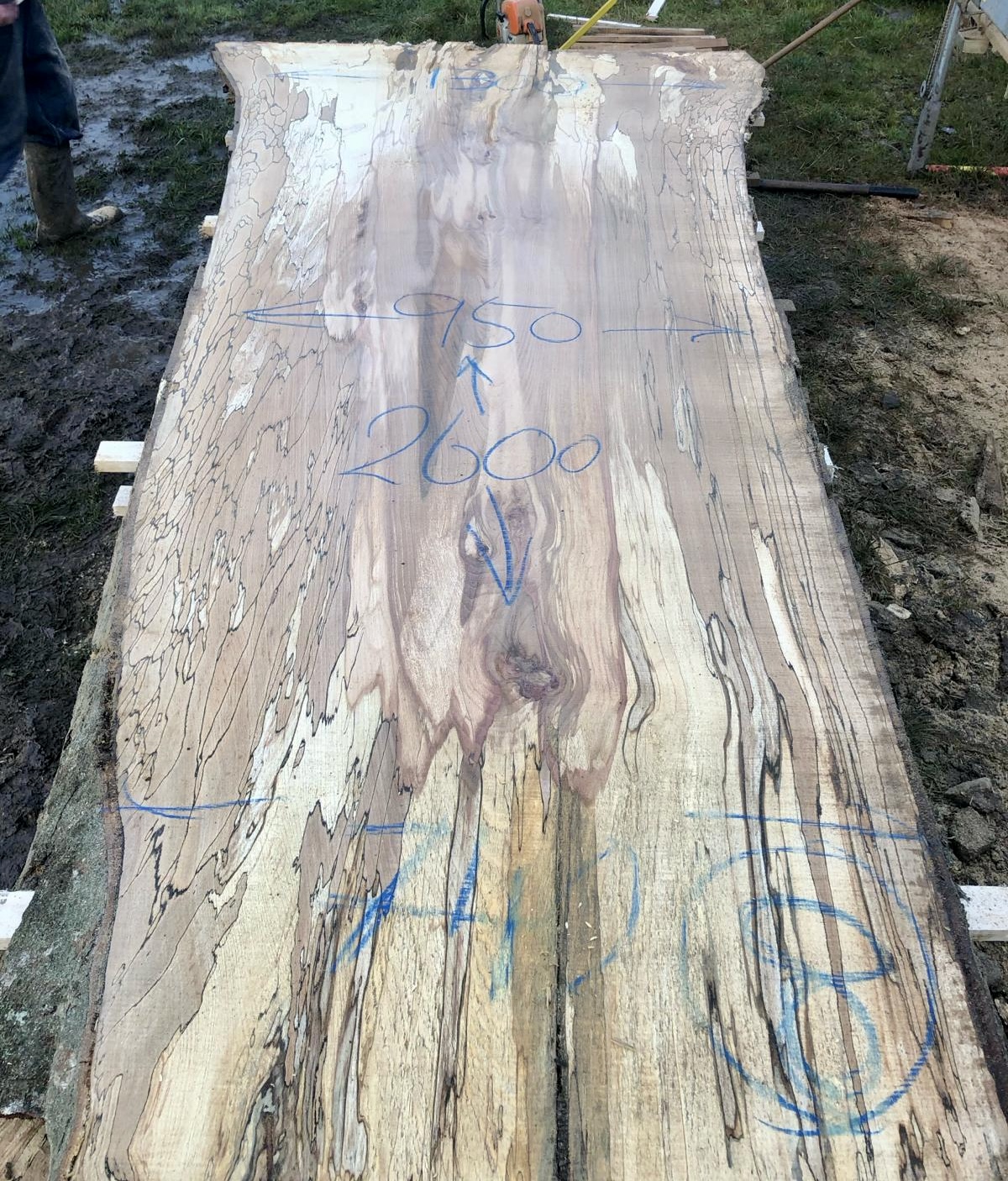 129 - spalted beech live edge slab