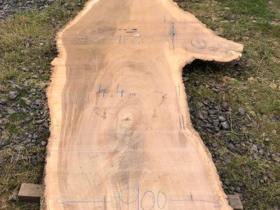 132 - oak live edge raw slab