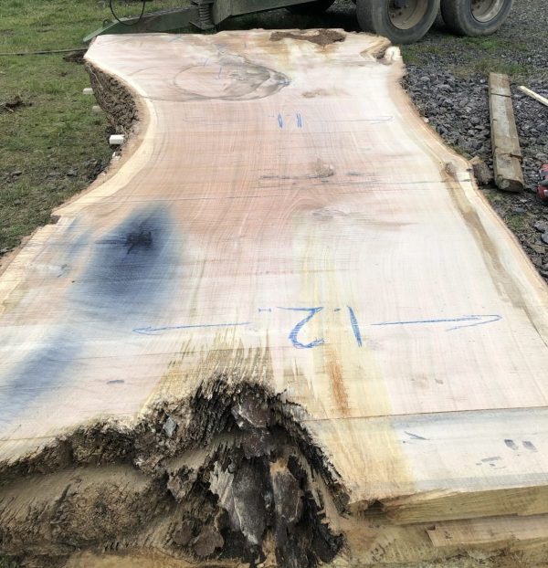 138 - oak live edge raw slab