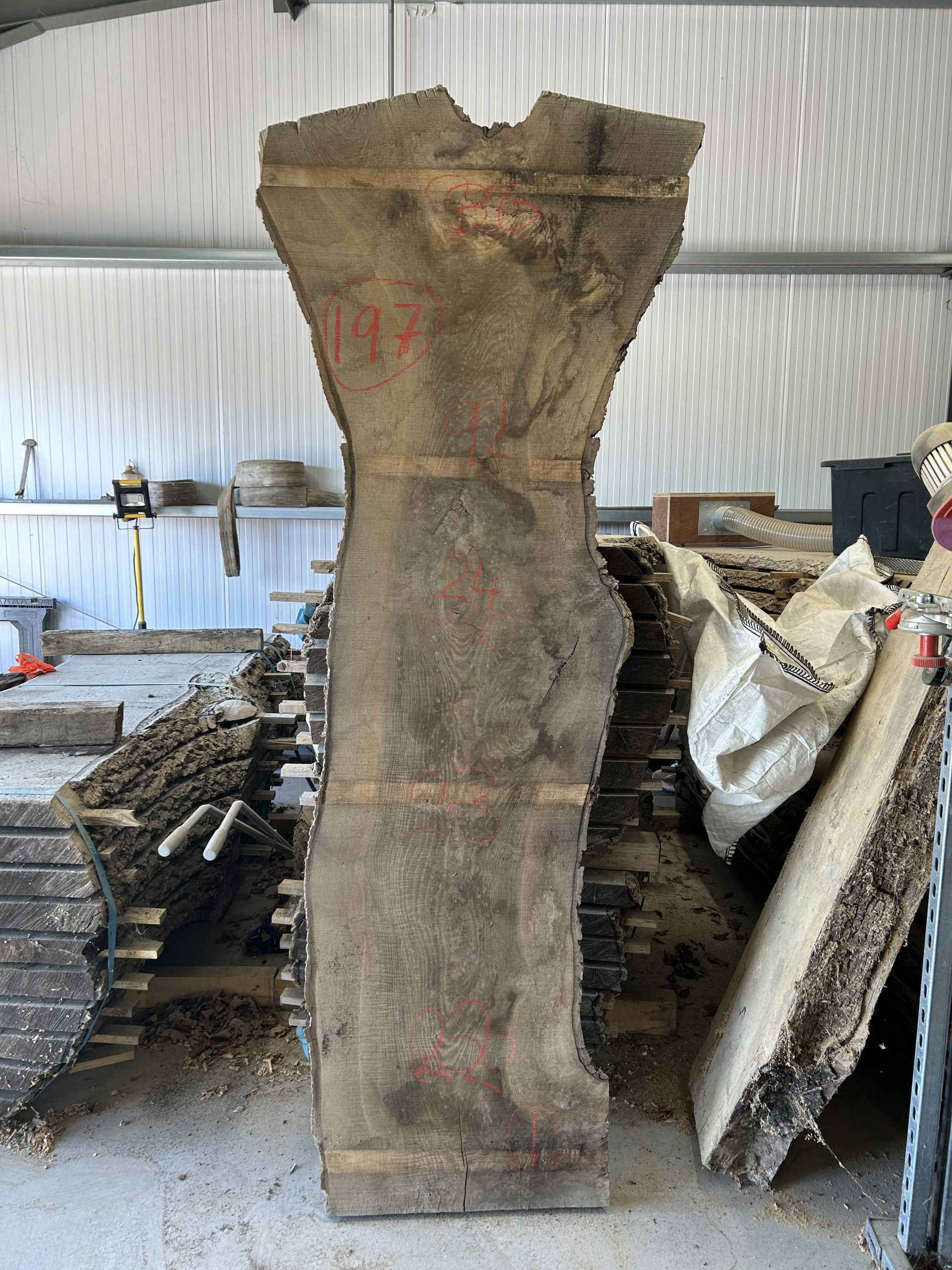 #197 - Ash - Raw Live Edge Slab - "92 x 29"x 2"